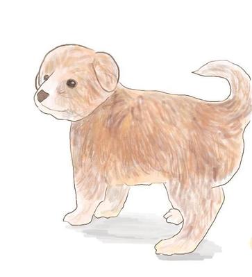 犬のイラストをかきました