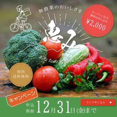 【バナー】無農薬野菜のデリバリーサービスを作成しました