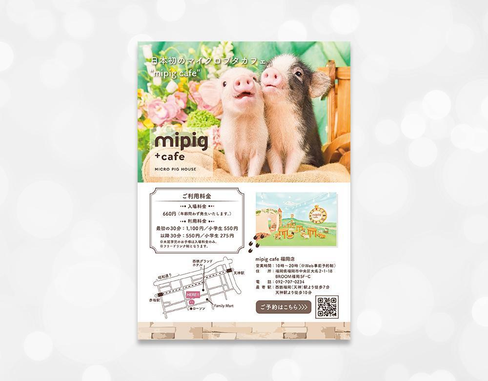 【自主制作】mipig cafe 福岡店様チラシを制作しました