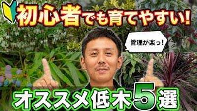 植栽系動画の動画編集・サムネイル作成しました