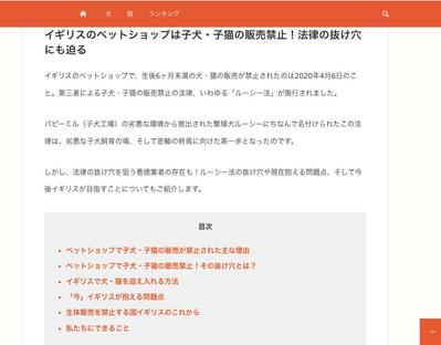 海外の保護犬事情に関するWebメディア「petee」様にて海外記事をもとに執筆させていただきました