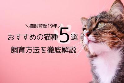 一人暮らしで猫を飼育したい方に向けて、おすすめ猫種のまとめ記事を執筆しました