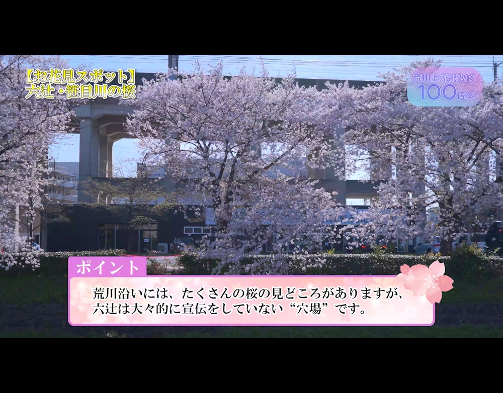 荒川の桜を紹介する４K動画のプロモーションムービーを撮影・編集しました