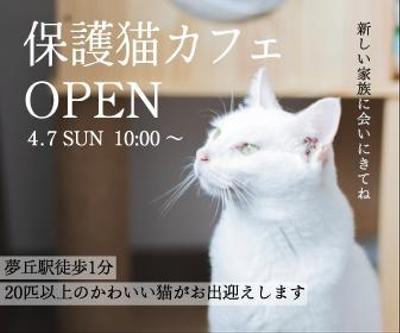 保護猫カフェのバナーを制作しました