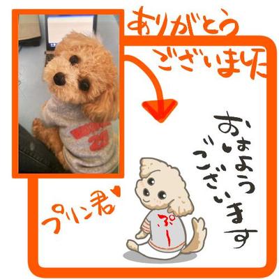 ご依頼者様の愛犬をモチーフにしたLINEスタンプを制作致しました