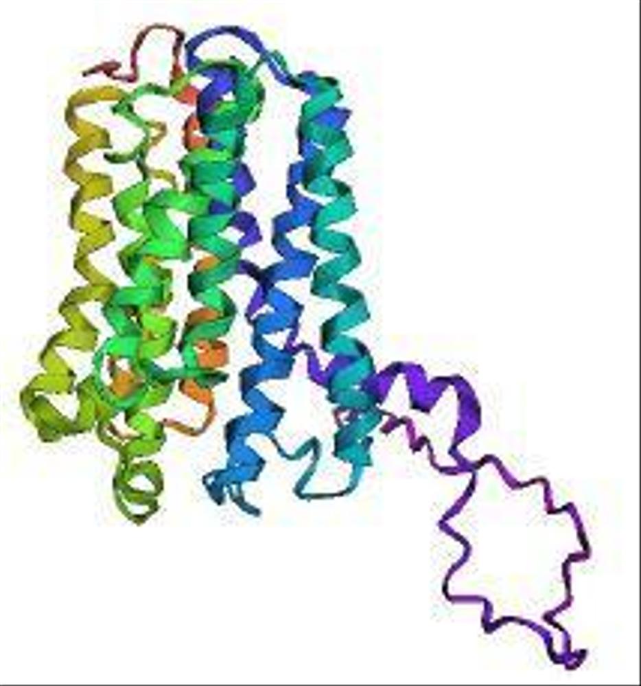 Alapha fold2を用いたタンパク質の描写をしました