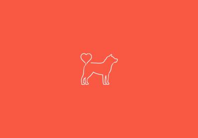 柴犬に関するインフォグラフィックビデオを作成しました