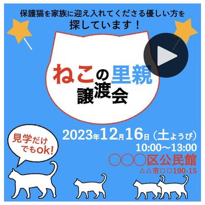 B.【パッケージ対応可能】イベント広告（アニメーション）をデザイン／作成しました