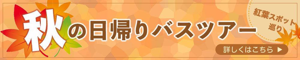 横長の架空バナーを制作しました