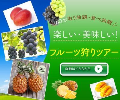 フルーツ狩りのバナーです。果物をメインに制作しました