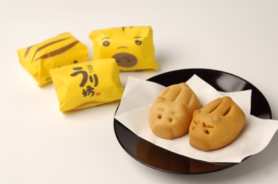 震災後の観光需要を支えたい！という思いから、箱根を代表する土産菓子『箱根のうり坊』が生まれました。
ました