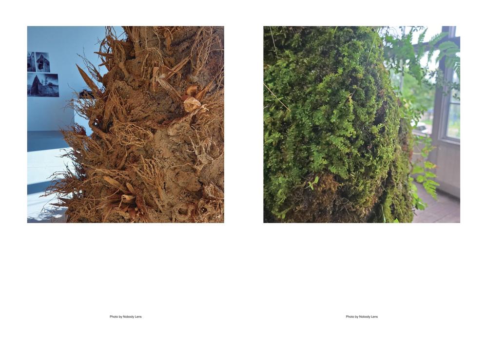 自身で撮影した写真で冊子を作成しました