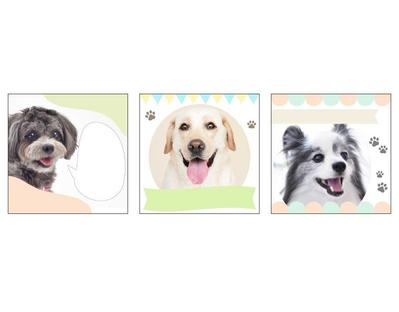 【Instagram フィード投稿用】犬メディアの雛形画像を作成しました
