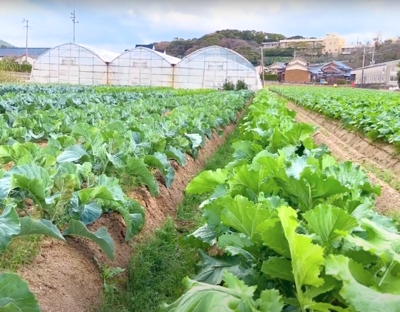 九州大学が実施する「糸島農業視察バスツアー」の紹介動画を編集させていただきました