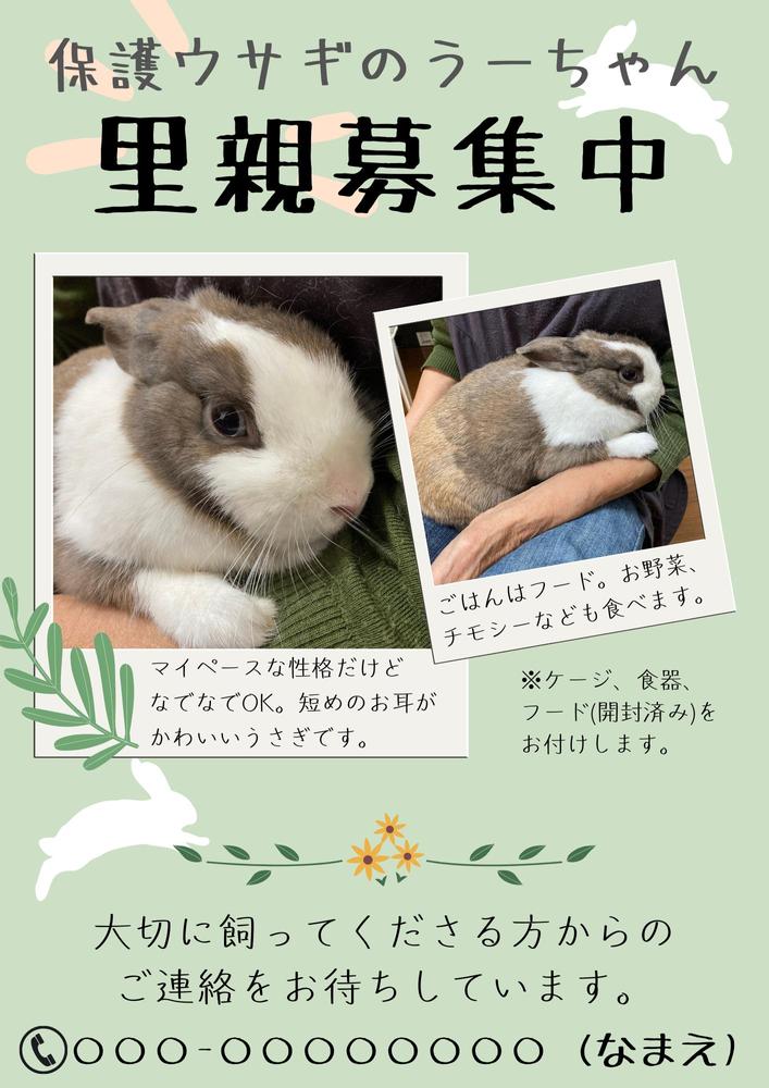 その他_サンプル用に作成しました