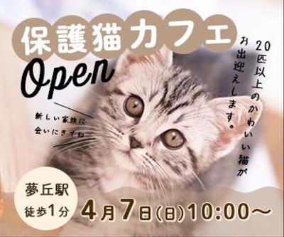 保護猫カフェのバナーを作成ました