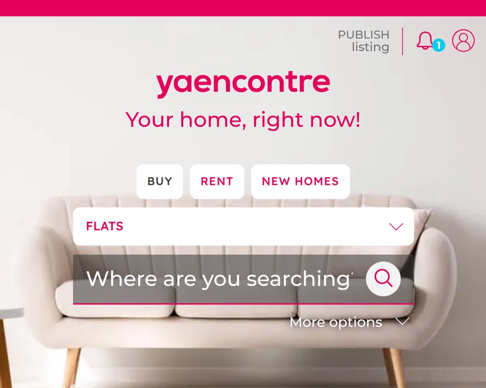 Yaencontre leads ウェブサイトを最新化にしました