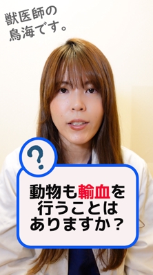 獣医師になりたい人のためのYouTubeチャンネル、鳥海早紀さんのショート動画を編集しました。ました