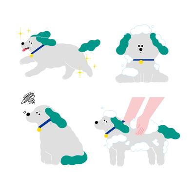 犬用シャンプーのフライヤー用イラストを制作いたしました