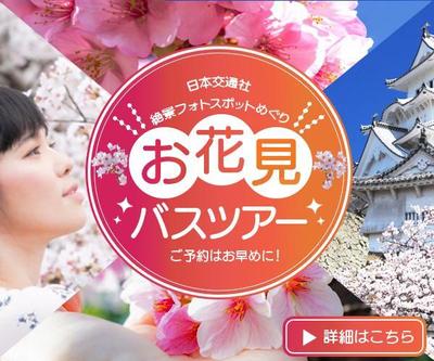 お花見のバナーを作成しました