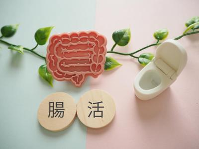腸活のテーマで記事作成しました