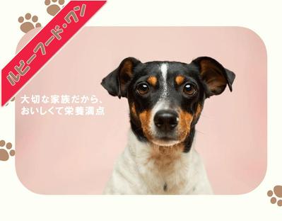 健康管理に特化したドッグフードの新発売キャンペーンについてのLPを作成しました
