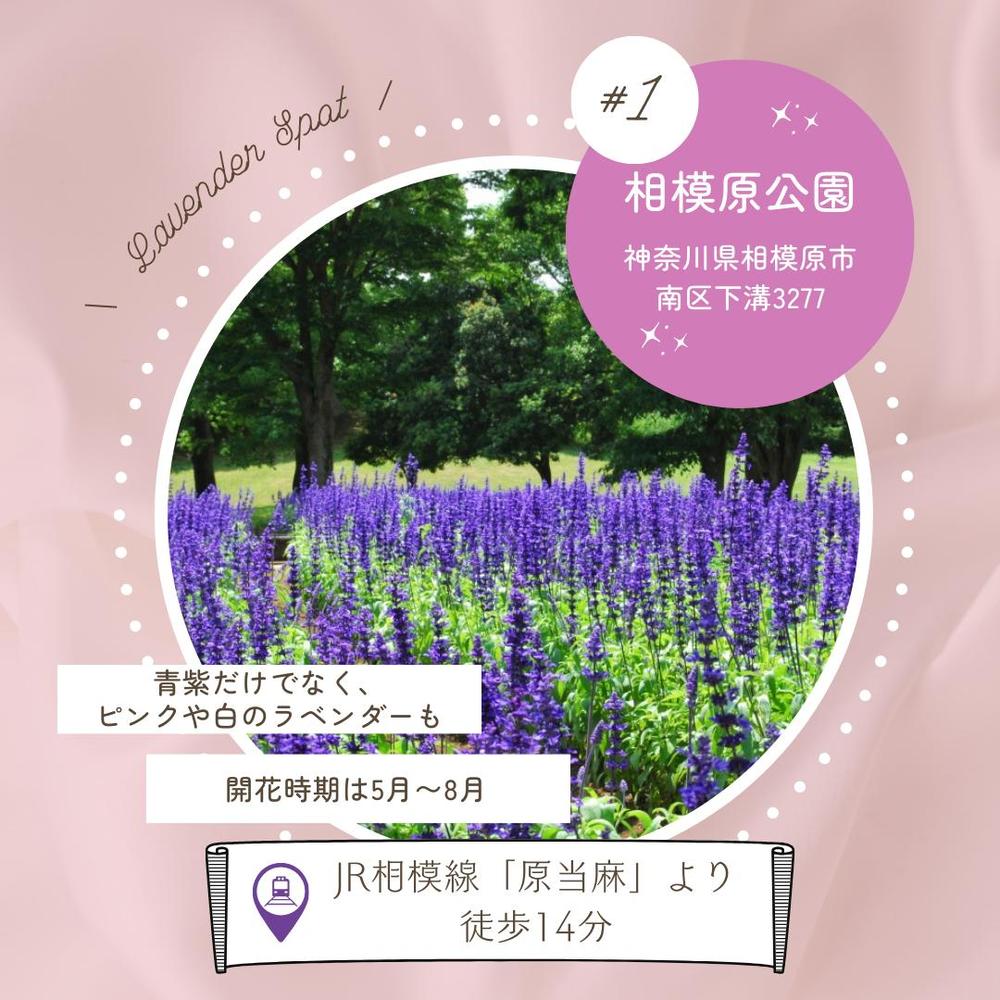 Instagram運用で投稿画像を作成し続けています。ました