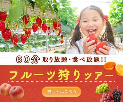 フルーツ狩りツアーのバナーを制作しました