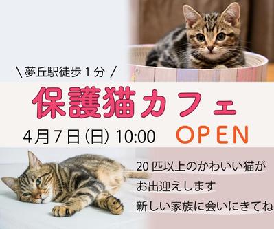 （架空）保護猫カフェのオープンのバナーを作成しました