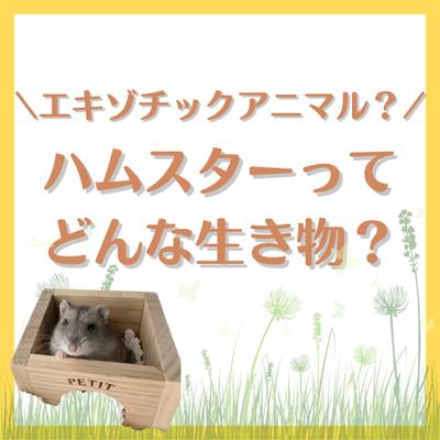 Instagramの投稿画像を作成しました