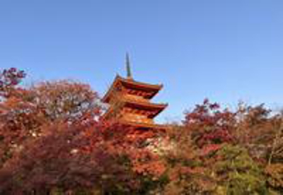 【2024年版】初めての京都！おすすめスポットから京土産まで紹介ました