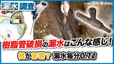 サムネイル作成を担当しました