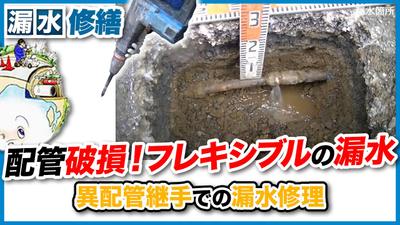 サムネイル作成を担当しました