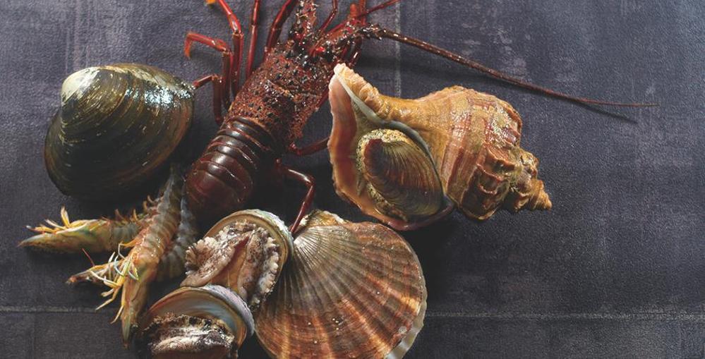 中国レストランの旬の食材を使用した季節のメニューを制作しました