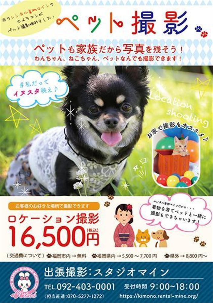 ペットの写真撮影チラシ制作しました