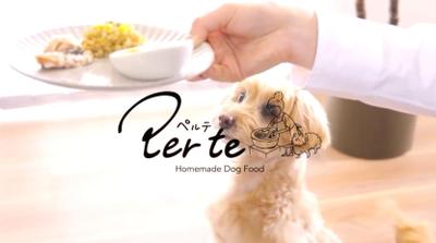 WHITE FOX｜愛犬への“温もり”を届ける食卓映像を制作しました