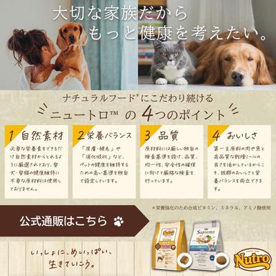【コンペ課題】ペットフードのバナーを作成しました