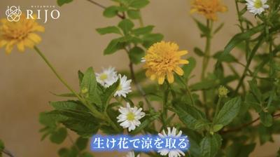 プロの華道家の生け花チャンネルの編集をいたしました