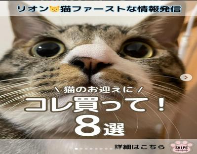 猫の情報発信アカウントでお迎え時にコレを買うのがおススメという商品紹介の投稿をしました