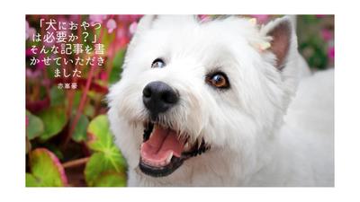 「犬におやつは必要か？」そんな記事を書かせていただきました