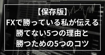 FXトレーダーとしての経験を活かした記事を個人ブログでを執筆しました