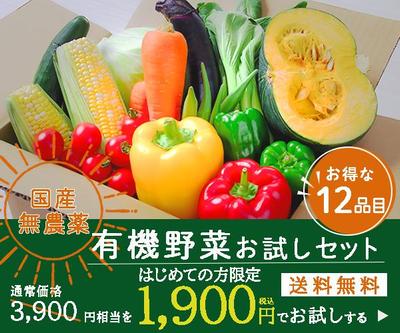 有機野菜のお試しセットのバナーを制作しました