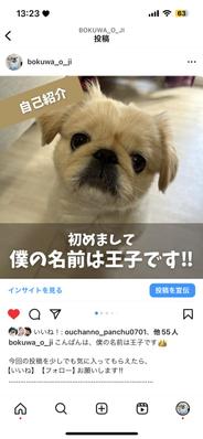 bokuwa_o_ji 現在、この愛犬のアカウントの立ち上げから投稿作成、数値分析まで行ってます。
ました