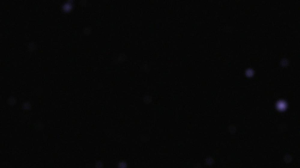 美白スキンケアブランド「シロノサクラ」様のYouTubeチャンネル企画のOP&トビラ動画を作成しました