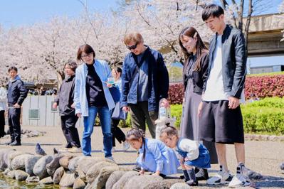 家族写真で、お花見をしに行った時に撮影しました