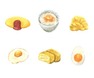 卵料理のリアルタッチイラストを制作しました