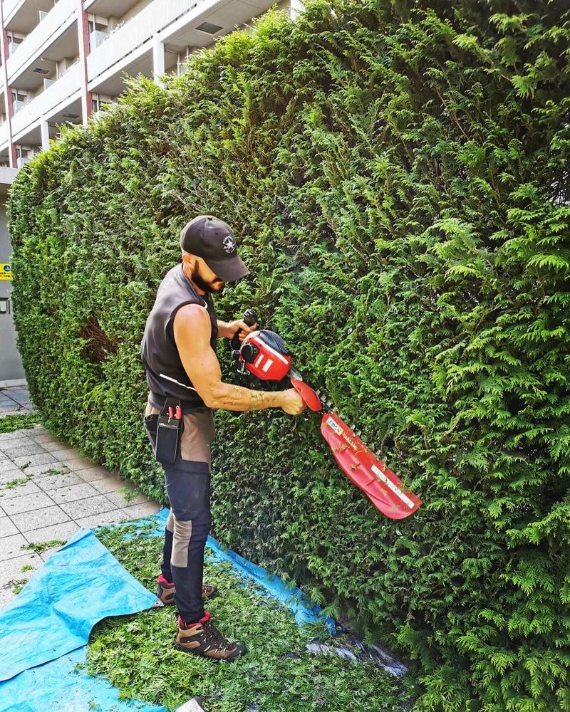 植木屋としての仕事と情熱ました