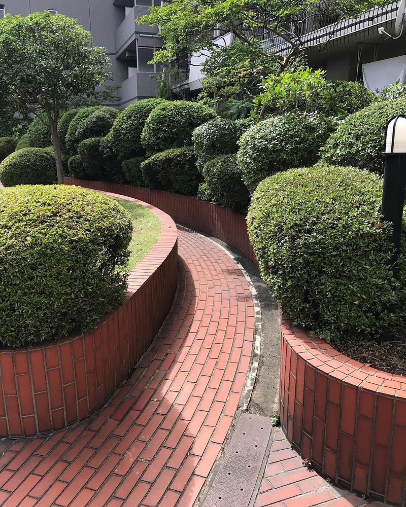 植木屋としての仕事と情熱ました