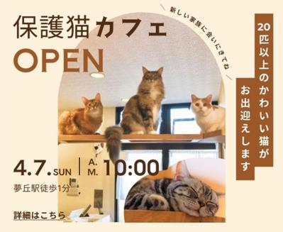 自主制作で、架空の地域サイトに載せる「保護猫カフェのオープン広告」のバナー制作をしました