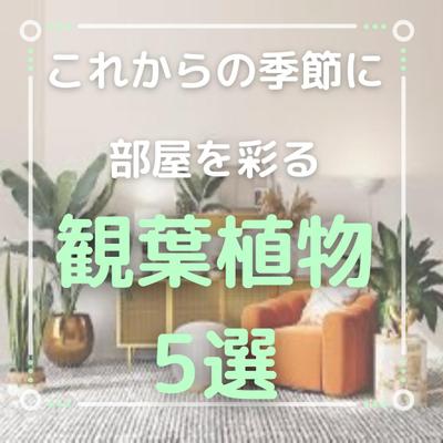 輸入インテリアのPR画像を作成いたしました